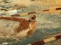 Junior Westin Reasons swims butterfly in his 200 IM.